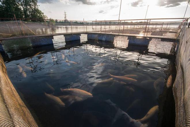 山西养殖污水处理